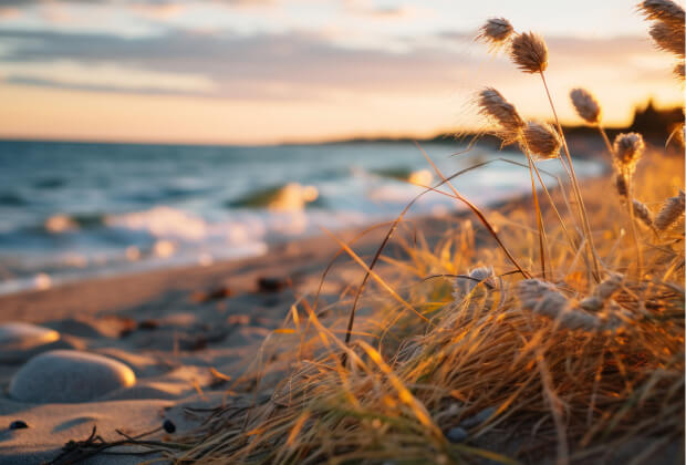 Ethno Hotels Belek İletişim